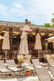 Tropical Bar (Kingdom Point)