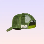 Nickelodeon Teenage Mutant Ninja Turtles Character Green Dad Hat