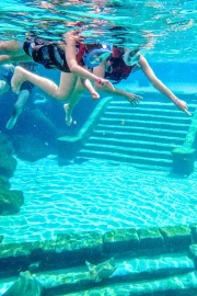 Snorkelling with Stingray