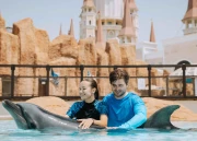 Dolphin Meet And Greet
