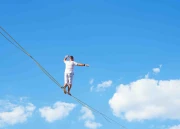 High Liner Performance