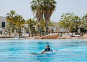 Dolphin Swim (8 Yaş ve Üzeri)