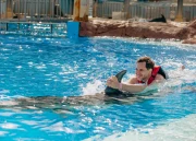 Dolphin Swim (Ages 8 and Above)