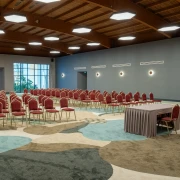 Meeting & Congress