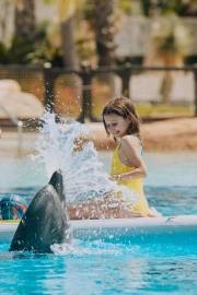 Dolphin Paddle (Ages 8 and Above)