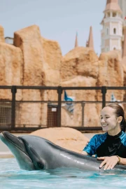 Dolphin Meet And Greet