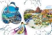 20% Off Theme Park Tickets!