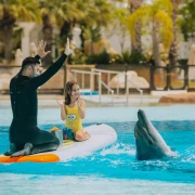 Nickelodeon SpongeBob SquarePants Printed Swimsuit – Yellow – Girls