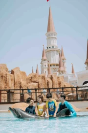Dolphin Meet And Greet