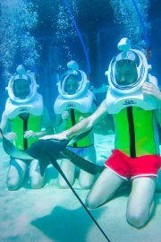 Shark Trek(+10)