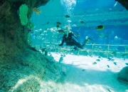 Mythical Scuba Diving