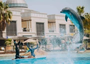 Dolphin Paddle (8 Yaş ve Üzeri)