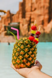 Entdecken Sie unsere Restaurants & Bars | The Land of Legends