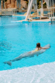 Private Dolphin Swim
