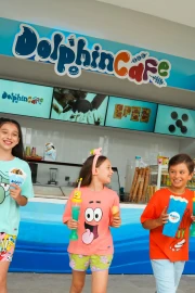 Dolphin Land
