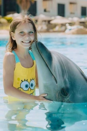 Private Dolphin Swim