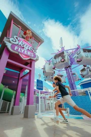Skye's Flyers