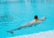 Private Dolphin Swim