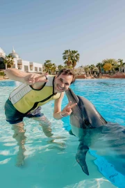 Dolphin Meet And Greet