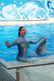 Dolphin Show