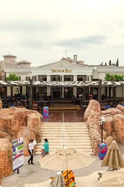 Terrace Bar (Kingdom Point)