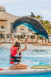 Dolphin Paddle (Ages 8 and Above)