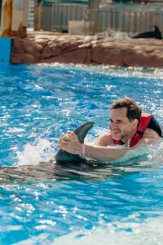 Dolphin Swim (+8)
