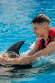 Dolphin Swim (+8)