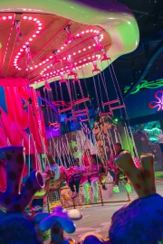 Jellyfish Jam