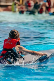Dolphin Swim (Ab 8 Jahren)