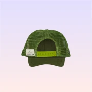 Nickelodeon Teenage Mutant Ninja Turtles Character Green Dad Hat