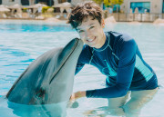 Dolphin Meet And Greet (Kostenpflichtig)