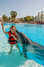 Private Dolphin Swim