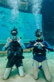 Mythical Scuba Diving
