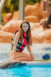 Dolphin Paddle (+8)