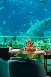 Nemo Restaurant & Lounge