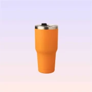 The Land of Legends Chateau Print Thermos - Orange