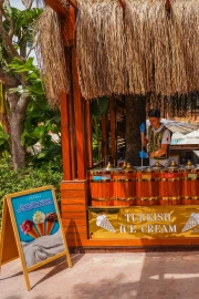 Tropical Bar (Kingdom Point)