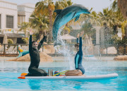 Dolphin Paddle (Ab 8 Jahren)