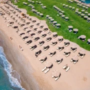 Sandy and Grassy Beach