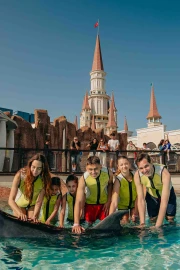Dolphin Meet And Greet
