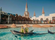 Dolphin Meet And Greet