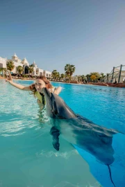 Dolphin Meet And Greet
