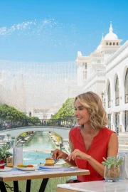 Shopping Avenue