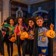 Sünger Bob Kare Pantolon Kız Çocuk Legendary Halloween Pembe Tişört