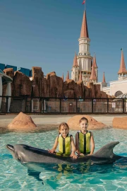 Dolphin Meet And Greet