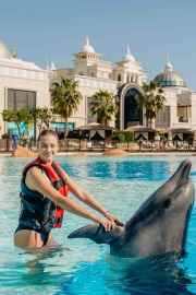 Private Dolphin Swim