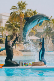 Dolphin Paddle (8 Yaş ve Üzeri) (Ekstra Ücretli)
