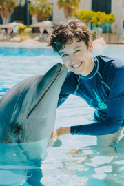 Dolphin Meet And Greet