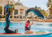 Dolphin Paddle (Ages 8 and Above)